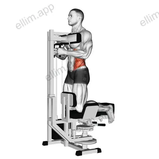 Lever Kneeling Twist exercise targeting Waist and Obliques