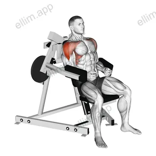 Lever Lateral Raise (plate loaded) exercise targeting Shoulders and Deltoid Lateral