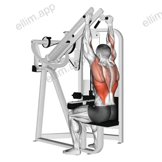 Lever Lateral Wide Pulldown exercise targeting Back and Latissimus Dorsi