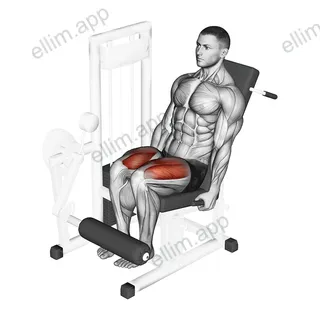 Lever Leg Extension exercise targeting Thighs and Quadriceps