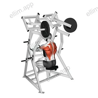 Lever Low Row (plate loaded) exercise targeting Back and Infraspinatus
