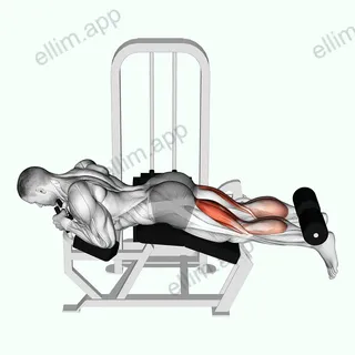 Lever Lying Two-One Leg Curl exercise targeting Thighs and Hamstrings