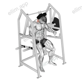 Lever Neck Extension (plate loaded) exercise targeting Neck