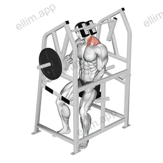 Lever Neck Left Side Flexion (plate loaded) exercise targeting Neck