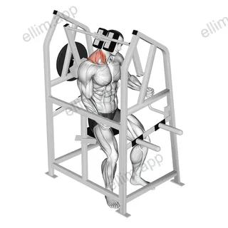 Lever Neck Right Side Flexion (plate loaded) exercise targeting Neck