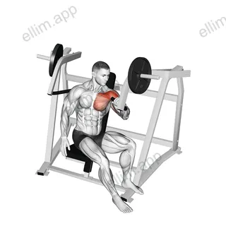 Lever One Arm Incline Chest Press (plate loaded) exercise targeting Chest