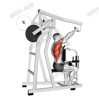 Lever One Arm Lateral High Row exercise targeting Back and Infraspinatus