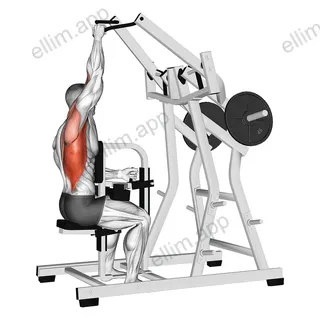 Lever One Arm Lateral Wide Pulldown (plate loaded) exercise targeting Back and Latissimus Dorsi
