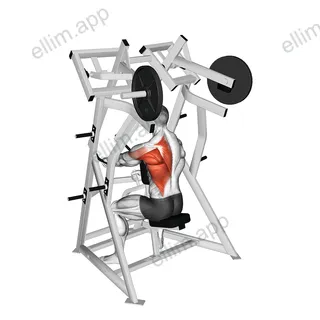 Lever One Arm Low Row (plate loaded) exercise targeting Back