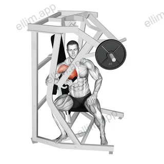 Lever One Arm Side Chest Press exercise targeting Chest