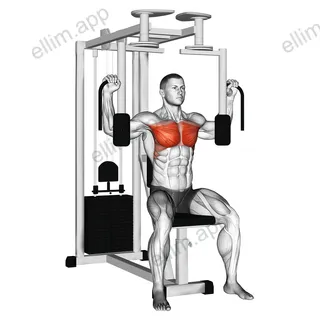 Lever Pec Deck Fly exercise targeting Chest and Biceps Brachii
