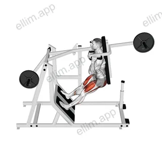 Lever Pendulum Squat (plate loaded) exercise targeting Gluteus Maximus and Quadriceps