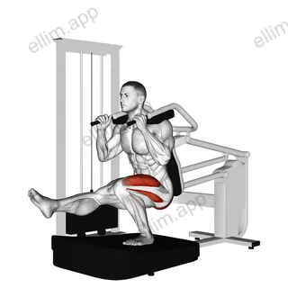 Lever Pistol Squat exercise targeting Thighs and Splenius