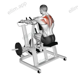 Lever Pronated Grip Seated Scapular Retraction Shrug (plate loaded) exercise targeting Back and Rhomboids