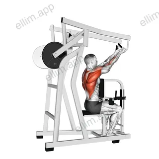 Lever Reverse Grip High Row (plate loaded) exercise targeting Back