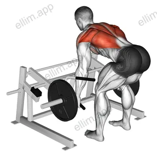 Lever Row (plate loaded) exercise targeting Back and Infraspinatus