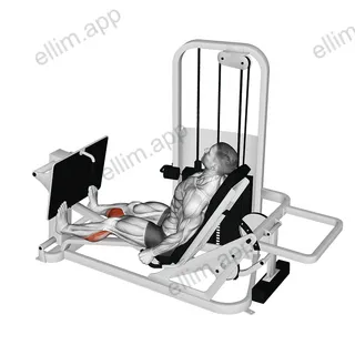 Lever Seated Calf Press exercise targeting Calves and Gastrocnemius