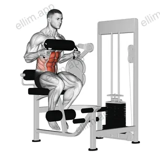 Lever Seated Crunch (chest pad) exercise targeting Waist and Rectus Abdominis