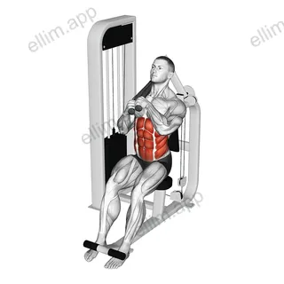 Lever Seated Left Side Crunch exercise targeting Waist