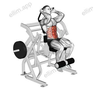 Lever Seated Leg Raise Crunch (plate loaded) exercise targeting Waist and Rectus Abdominis