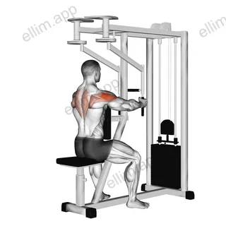 Lever Seated Reverse Fly (parallel grip) exercise targeting Shoulders and Deltoid Posterior