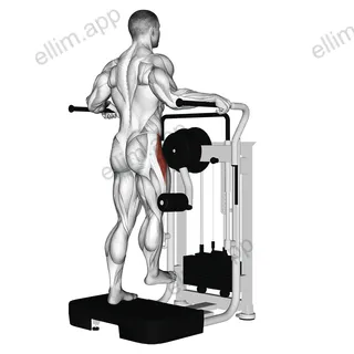 Lever Side Hip Abduction exercise targeting Hips and Iliopsoas