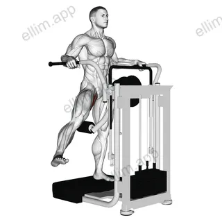 Lever Side Hip Adduction exercise targeting Hips and Gluteus Maximus
