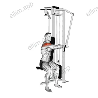 Lever Side Seated Single Arm Rear Delt Fly exercise targeting Shoulders