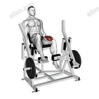 Lever Single Leg Extension (plate loaded) exercise targeting Thighs and Quadriceps