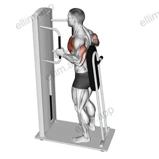 Lever Standing Chest Press exercise targeting Chest and Pectoralis Major Clavicular Head
