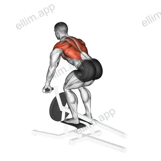 Lever T bar Row (plate loaded) exercise targeting Back and Infraspinatus