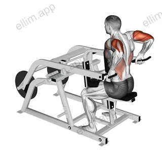 Lever Triceps Dip (plate loaded) exercise targeting Upper Arms and Triceps Brachii