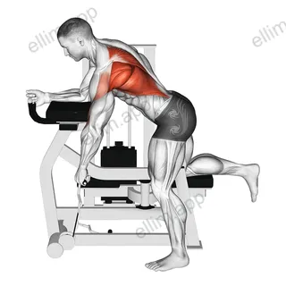 Lever Unilateral Row exercise targeting Back and Infraspinatus