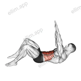 Long Arm Crunch exercise targeting Waist and Rectus Abdominis