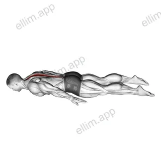 Lower Back Curl exercise targeting Back and Erector Spinae