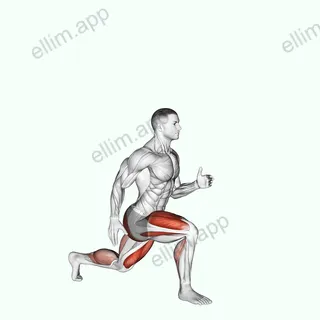 Lunge with Jump exercise targeting Thighs and Gluteus Maximus