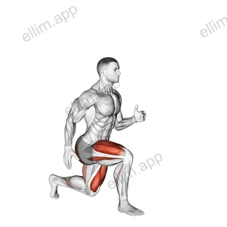 Lunge with Leg Lift exercise targeting Thighs and Gluteus Maximus