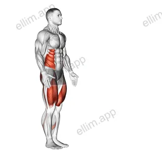 Lunge with Twist exercise targeting Waist and Gluteus Maximus