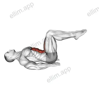 Lying Alternate Toe Touch Floor exercise targeting Hips