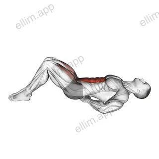 Lying Bent Legs Raise exercise targeting Waist