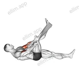 Lying Biceps Curl with Towel exercise targeting Upper Arms and Biceps Brachii