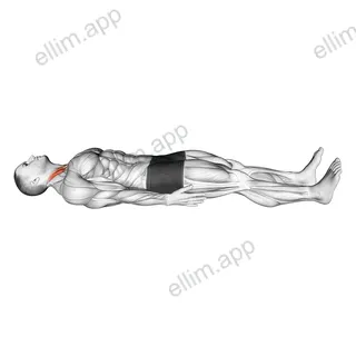 Lying Chin Tucks exercise targeting Neck