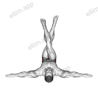 Lying Criss Cross Legs exercise targeting Hips