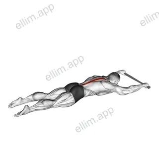 Lying Floor Hyperextension with Towel exercise targeting Hips and Erector Spinae