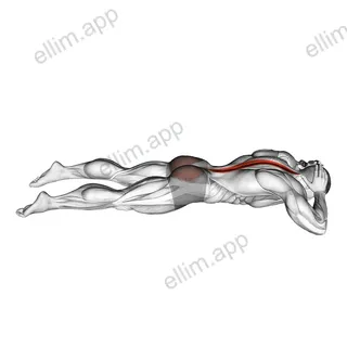 Lying Floor Hyperextension exercise targeting Hips and Erector Spinae
