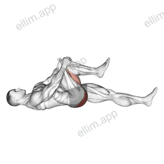 Lying Knee To Chest Stretch exercise targeting Hips and Gluteus Maximus