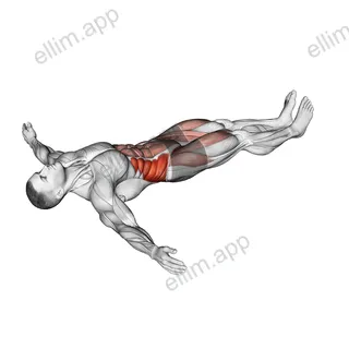 Lying Leg Cross exercise targeting Waist and Adductor Brevis