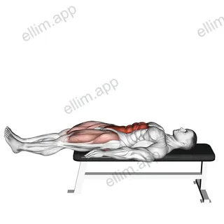 Lying Leg Raise Flat Bench exercise targeting Waist and Iliopsoas