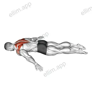 Lying Prone A exercise targeting Back