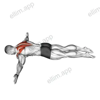 Lying Prone T exercise targeting Back